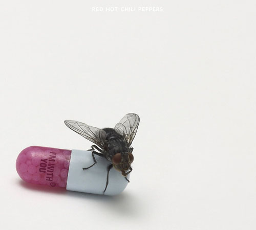 Red Hot Chili Peppers, I'm with you, 2011