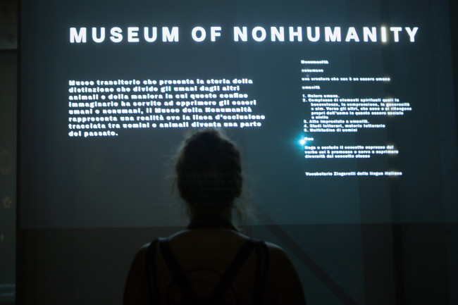 museumofnonhumanity-diane-ilariascarpa-lucatelleschi-santarcangelo_0685