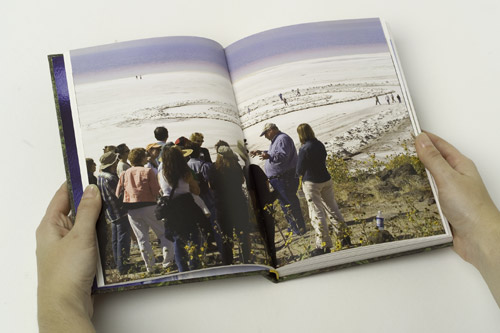 Land, art: a cultural ecology handbook (2006)