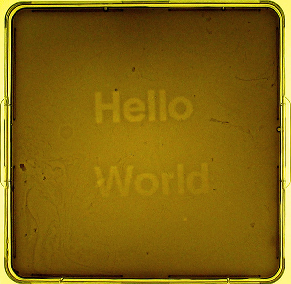 Jeff Tabor, Randy Rettberg, Hello World, biologia sintetica, 2004