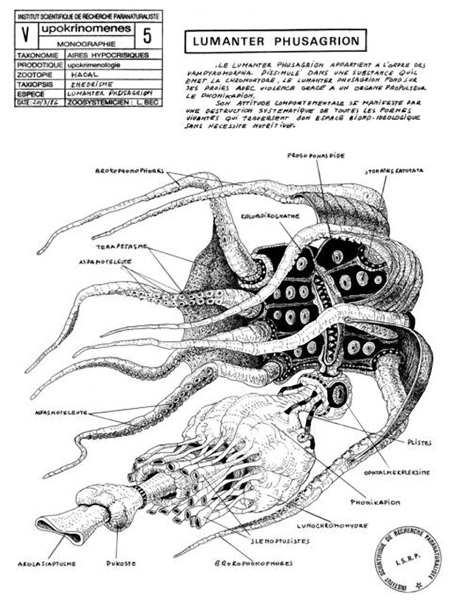 On Vampyroteuthis Infernalis, installazione 