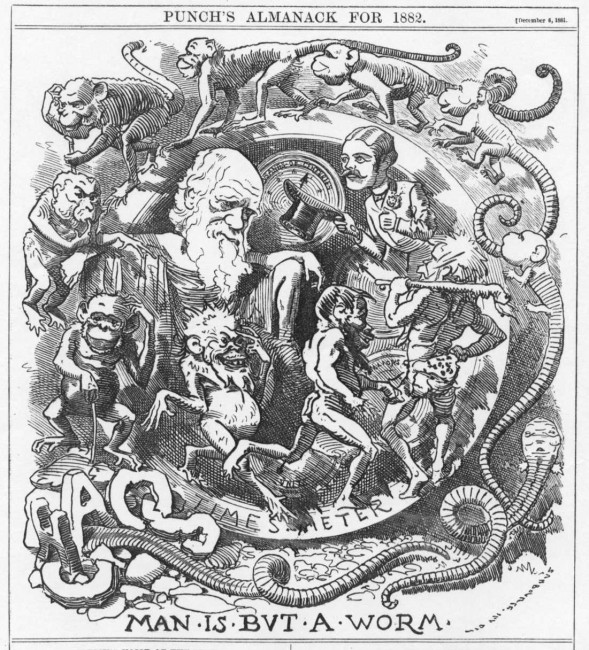 Una caricatura del 1882 sulla teoria dell'evoluzione di Darwin (courtesy Tulane University)