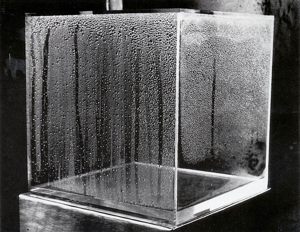 Hans Haacke, Condensation Cube, plexiglas, acqua, 1963