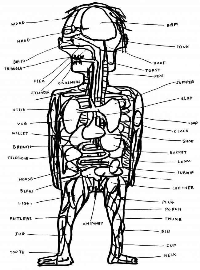 David Shrigley, Anatomy, 2004, Courtesy David Shrigley 