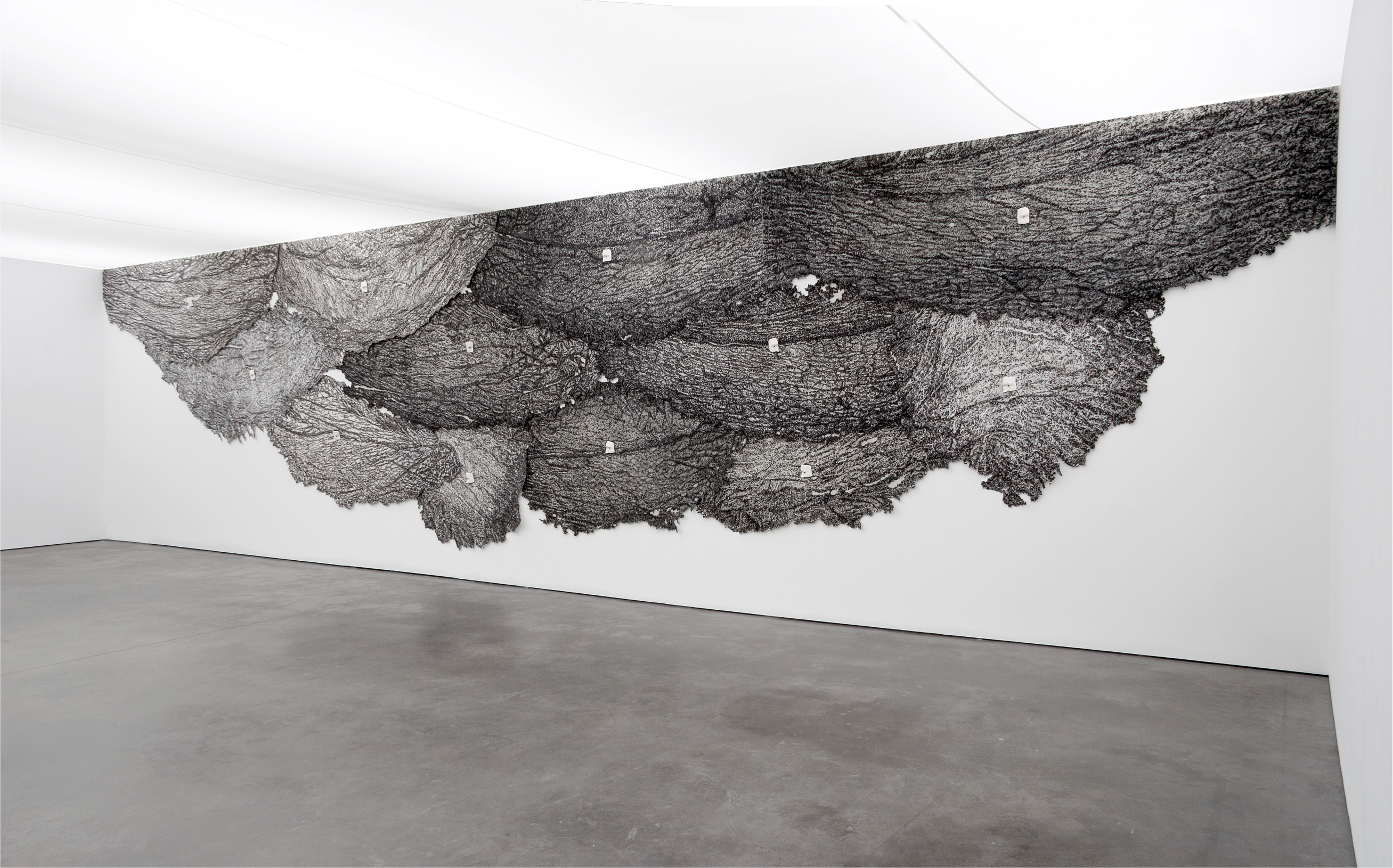 Giuseppe Penone, Palpebre, 1989-1991,  Carboncino su feltro, gesso/Charcoal on felt, plaster 19 elementi / parts: 350 x 1500 cm ca., Courtesy De Pont Museum of Contemporary Art, Tilburg, Foto © Henk Geraedts