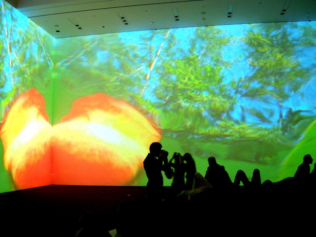 Installazione di Pippilotti Rist al MOMA, ph Stefania Carrozzini