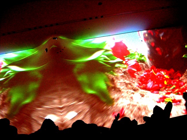 Installazione di Pippilotti Rist al MOMA, ph Stefania Carrozzini