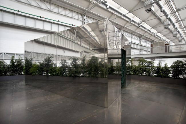 Double Vegetation Room, 2006, ph Dario Tettamanzi