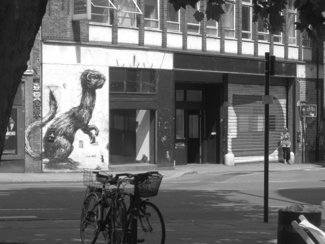 Citizen Kane; Roa; Eine, 2011, photo by Egidio E. Bianco