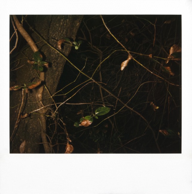 Rodney Graham, Montserrat, 1995 80 Polaroids, 9 x 7.5 cm each (without Polaroid frame) © Tony Coll, Barcelona 