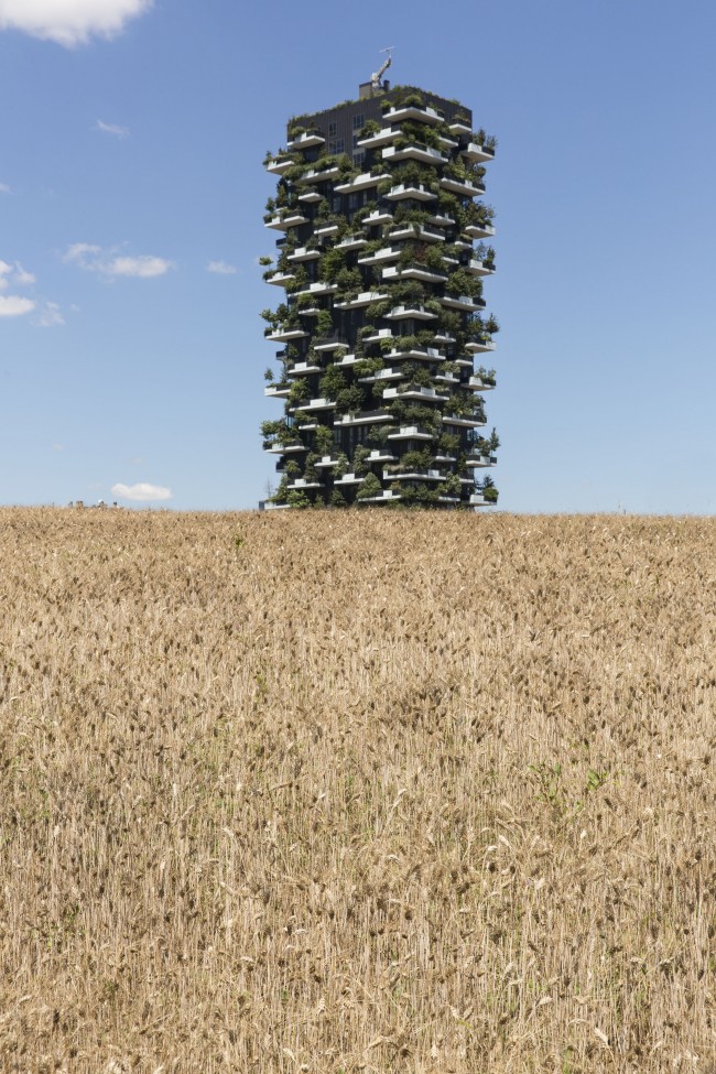 Agnes Denes, Wheatfield, 2015, Porta Nuova Milano, Courtesy Fondazione Nicola Trussardi