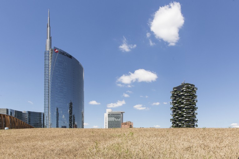 Festa del raccolto del grano di Wheatfield