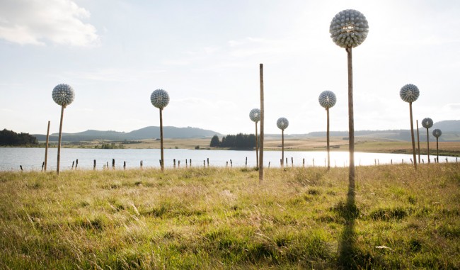 Alice e David BERTIZZOLO, Pappus Lactés, Lac de Bourdouze (Besse) 