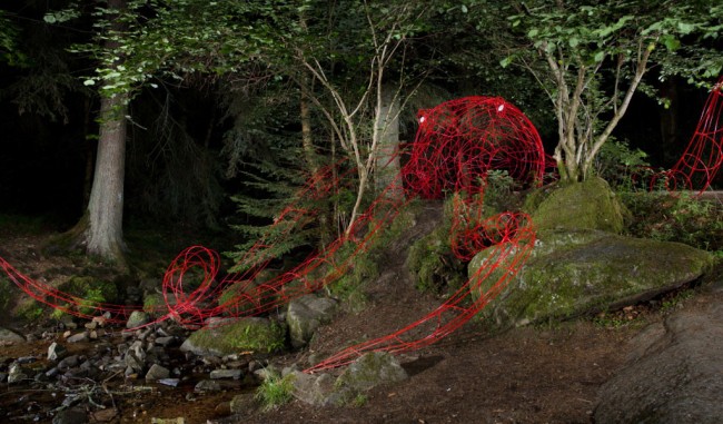 Francis BENINCA, Octopus Montanus, Gorges de l'Artière (Ceyrat, hors Sancy) 