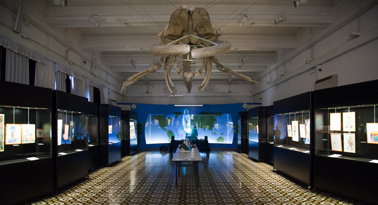 The BEST(iarium) al Museo Civico di Zoologia di Roma