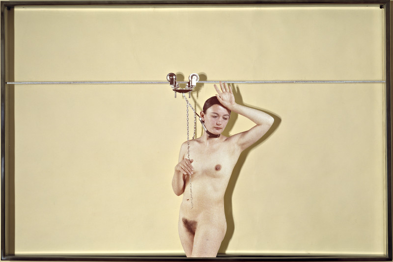 Vettor Pisani, 1972, Lo scorrevole, stampa fotografica, plexiglass, ferro, 80 x 120 x 6 cm, Collezione Maramotti, Reggio Emilia