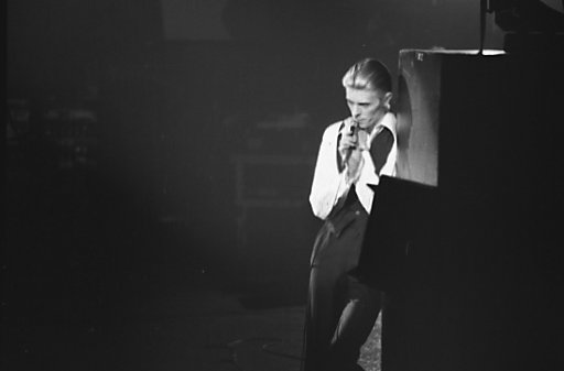 Fashion Bowie